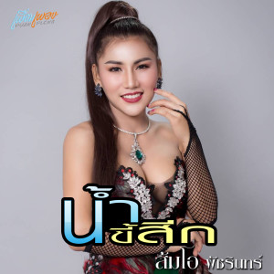 ดาวน์โหลดและฟังเพลง น้ำขี้สีก พร้อมเนื้อเพลงจาก ส้มโอ พัชรินทร์