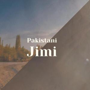 Various的专辑Pakistani Jimi