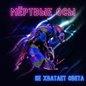 Album Не хватает света from Мёртвые Осы