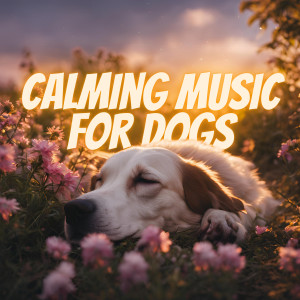 อัลบัม Calming Music for Dogs ศิลปิน Yoga Rain