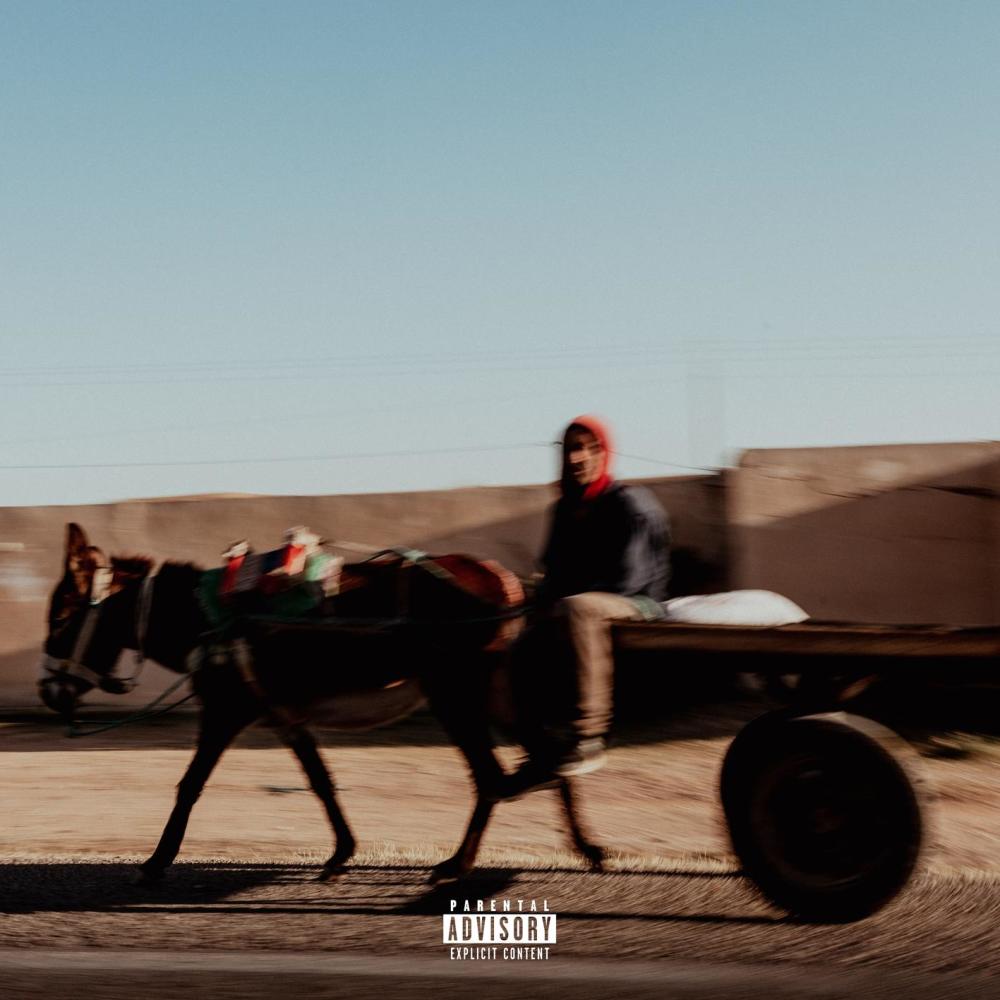 BLED (Explicit)