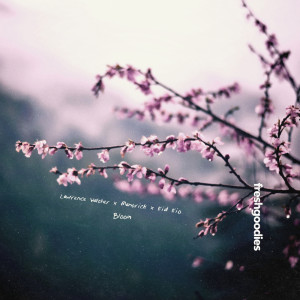 Listen to Bloom song with lyrics from Lawrence Walther