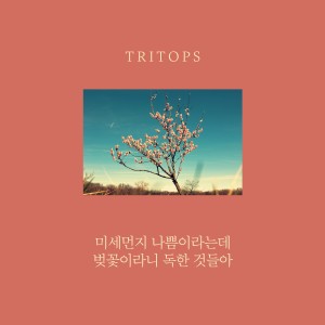 Listen to 미세먼지 나쁨이라는데 벚꽃이라니 독한것들아 song with lyrics from Tritops