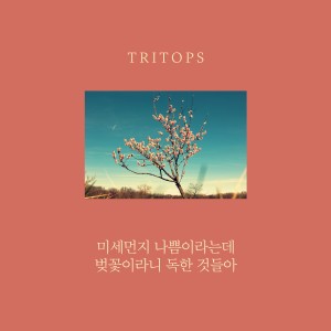 Album 미세먼지 나쁨이라는데 벚꽃이라니 독한것들아 from Tritops