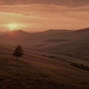 收聽pianocafe Kumi的君想ふ (Remake Version)歌詞歌曲