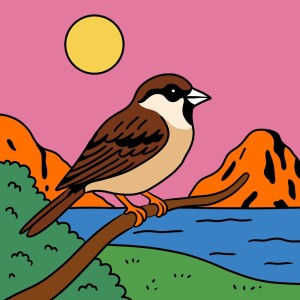 default playlist img