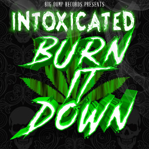 Album Burn It Down (Explicit) oleh Intoxicated