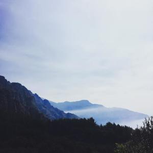 收聽Relaxing Music的Wellness歌詞歌曲