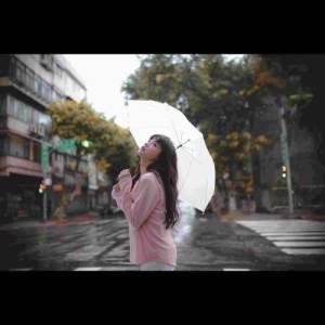 收听群星的纸鹤歌词歌曲