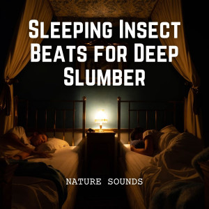 Album Nature Sounds: Sleeping Insect Beats for Deep Slumber from Deep Sleep Music