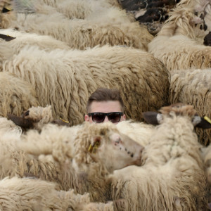 default playlist img