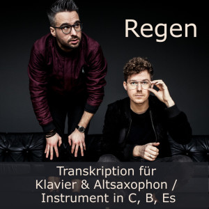 收聽soundnotation的Regen (Transkription)歌詞歌曲