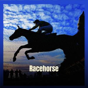 收聽Baard Roog的Observe Nobody歌詞歌曲