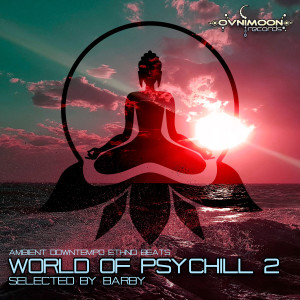 Album World Of Psychill 2 from barby