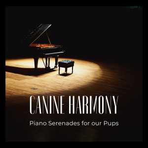 อัลบัม Canine Harmony: Piano Serenades for our Pups ศิลปิน Classical New Age Piano Music