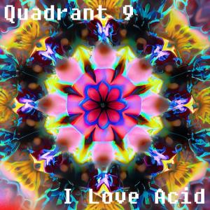 Album I Love Acid from Quadrant 9