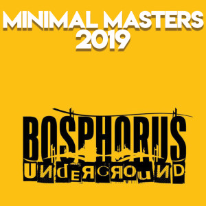 Various的專輯Minimal Masters 2019