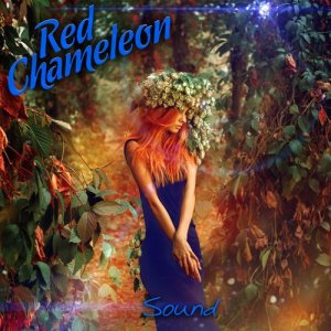 收聽Red Chameleon的Everything (Natural Mix)歌詞歌曲