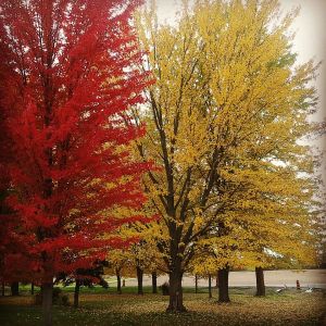 收听Wisnu Ugil的TAHUN BARU 2018 PALING ENAK SEDUNIA歌词歌曲