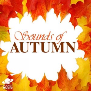 收聽The Hit Co.的Autumn歌詞歌曲