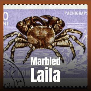 收聽Hanon Hend的Charge Everything歌詞歌曲