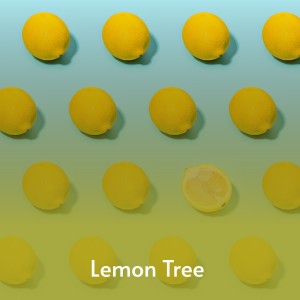 收听Peter，Paul & Mary的Lemon Tree歌词歌曲