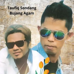 Taufiq Sondang的专辑POP MINANG STANDARD (Explicit)