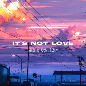 Szaby的專輯It's Not Love