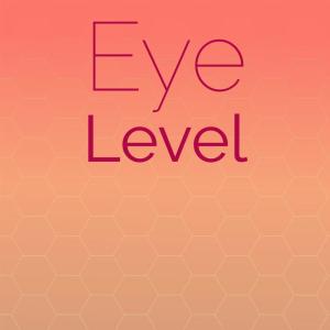 Various Artist的专辑Eye Level