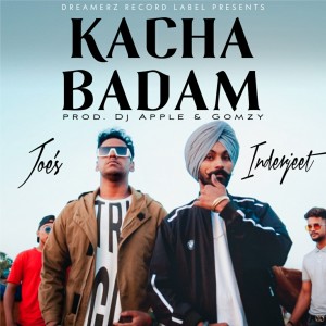 Album Kacha Badam Song from Inder Gill