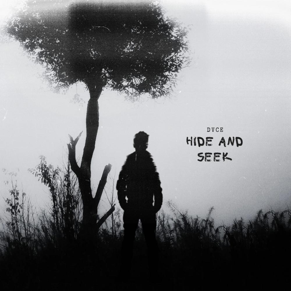 Hide and Seek