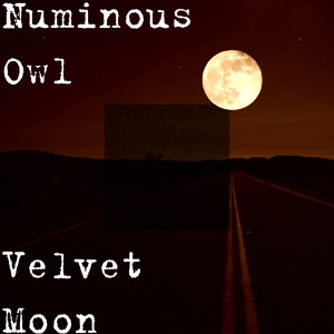Listen to Velvet Moon song with lyrics from Numinous Owl
