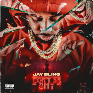 Album Don't Be Shy (Explicit) from 