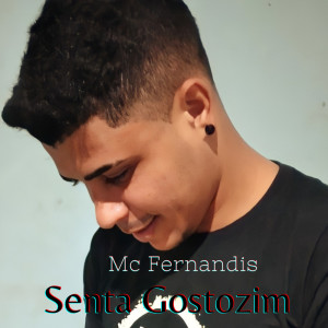收听Mc Fernandis的Senta Gostozim (Explicit)歌词歌曲