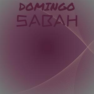 Various的专辑Domingo Sabah
