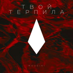 Listen to Твой терпила (Explicit) song with lyrics from Moudini