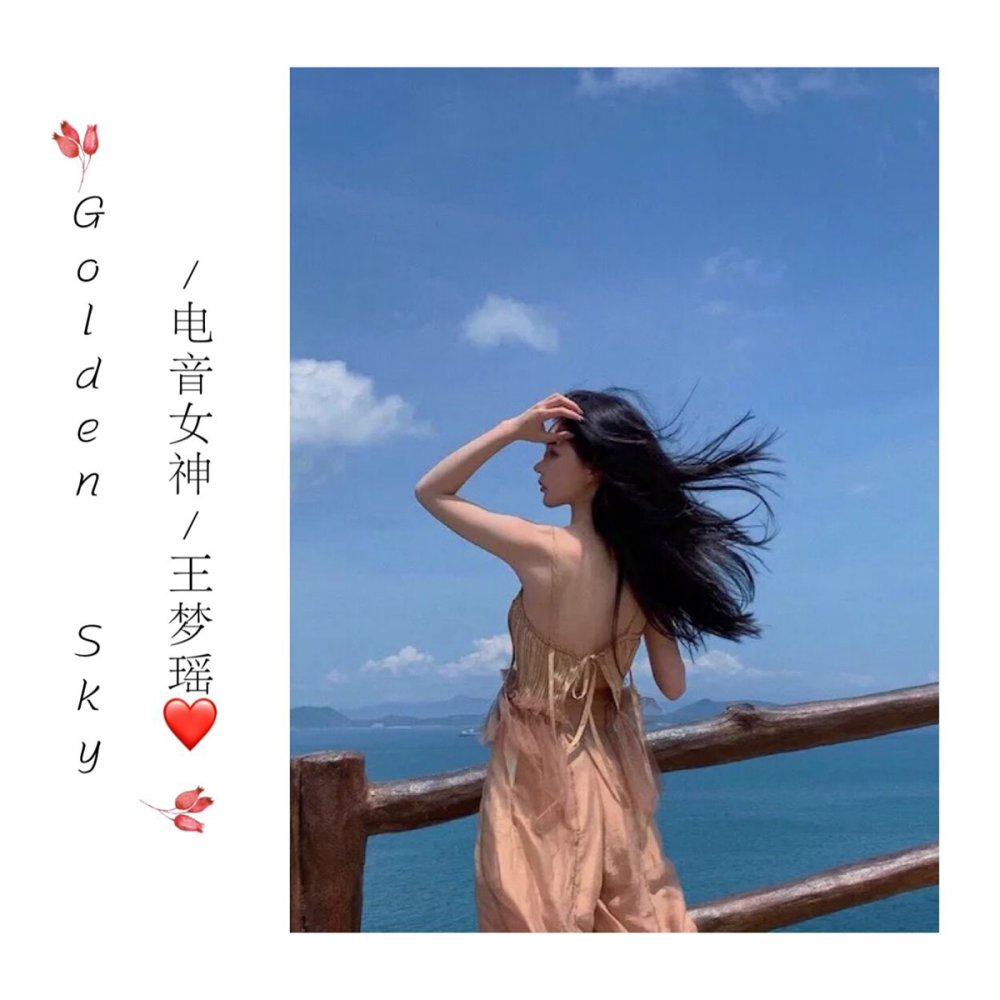 最高地位 (抖音重置版)