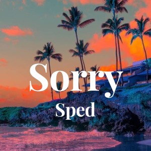 收听Jutin Biber的Sorry - Sped歌词歌曲