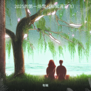 Listen to 2025的第三场雪（柳絮满天飞） (完整版) song with lyrics from 有碗
