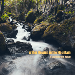 Dengarkan Water Flowing in the Mountain lagu dari J.Roomy dengan lirik