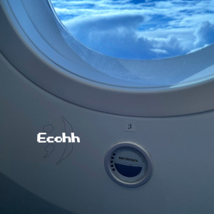 收听No Buses的Ecohh (Cwondo Remix)歌词歌曲