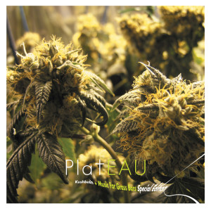 收聽Plateau的Chateau Plateau歌詞歌曲
