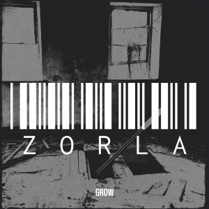 Listen to Zorla (Explicit) song with lyrics from Grow