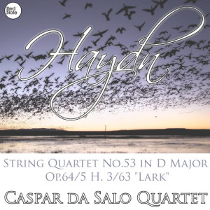Album Haydn: String Quartet No.53 in D Major Op.64/5 H. 3/63 "Lark" from Caspar Da Salo Quartet