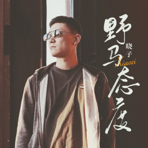 Album 野马态度 from 晓子