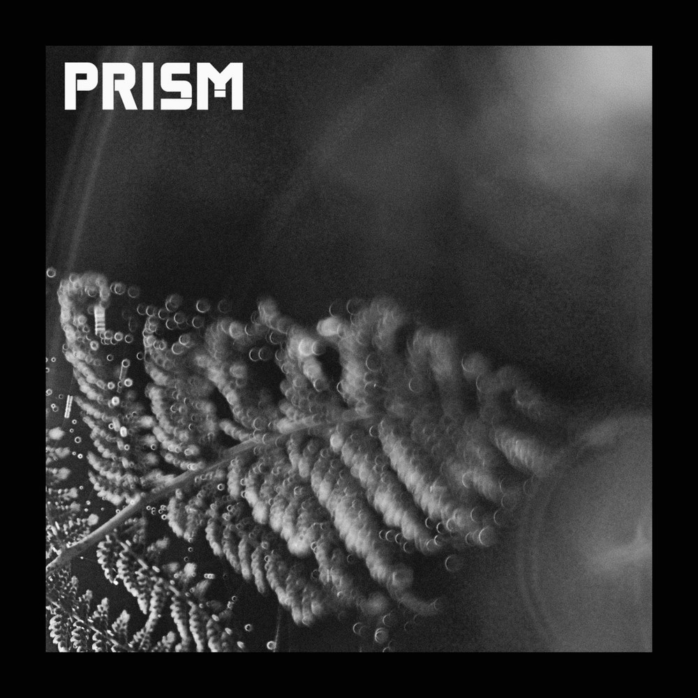 prism