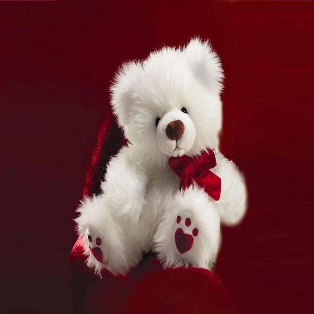 ~TeddyBear~ DANCE
