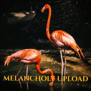 ดาวน์โหลดและฟังเพลง Melancholy Upload พร้อมเนื้อเพลงจาก Da Vosk Docta