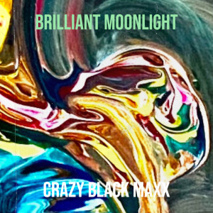 Crazy Black Max的专辑Brilliant Moonlight (Explicit)