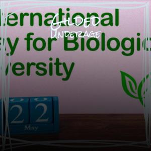 ดาวน์โหลดและฟังเพลง His Will พร้อมเนื้อเพลงจาก Wiet